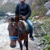 Om Pandey