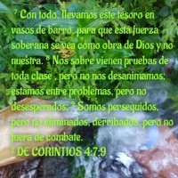 Chavez Garcia