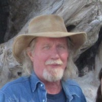 Todd Nelson