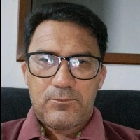Valdir V Silva Vieira Silva
