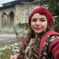 Narges Sadeghi