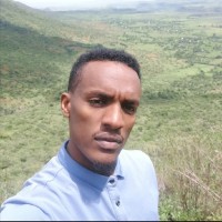 Aklilu Negash