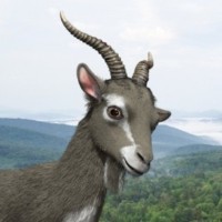 Mo The Mountainone Spokesgoat