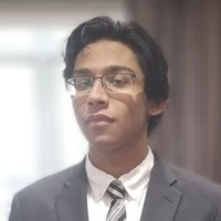 Krishna Chauhan