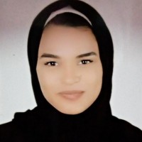 howaida hassan