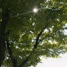 윤의연