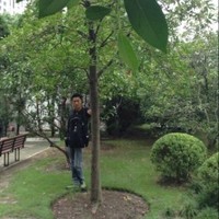 杨庆成
