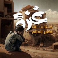 اميرة اميرة