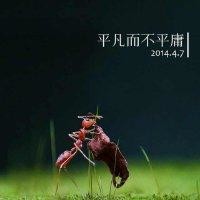 寇建启