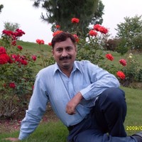 Faisal Ayub