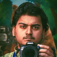 Yashaswi Tripathy