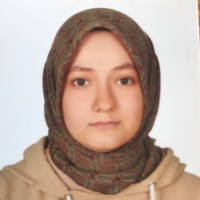 Ayşe Işıl Cingöz