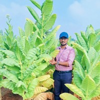 Prudhvi Vijay Babu