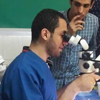 Mahmoud Raafat