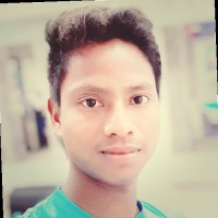 Shuvo Roy