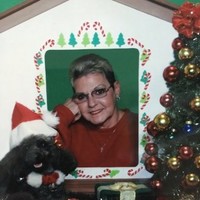 Pam Cantele