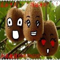 鲍文平