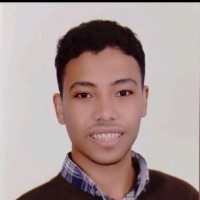 Fady Emad
