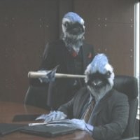 Blue Jay Bird Ceo