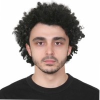 Arman Hosseini