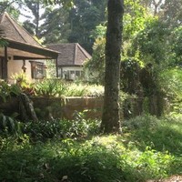Arc Properties