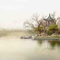 蔡京辰