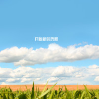 赵广华