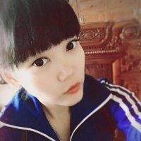 董文慧