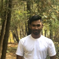 Naveen Kumar Nallaian