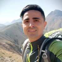 Behnam Razavi