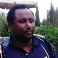 hassen ahmed