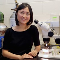 Helen Hou