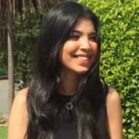Dina Amer