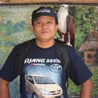Dodo Sundaka