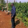 Paul Warutumo