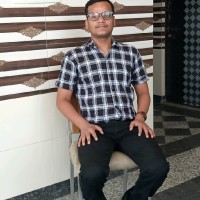Raman Roy