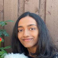 Anisha Narsam