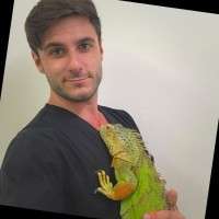 Marcus Gatto