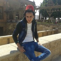 hisham abdelhameed