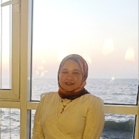 Marwa Ali Eissa