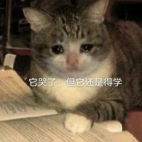 陈雨青