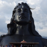 Ashu D