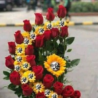 Asmaa Fahmy