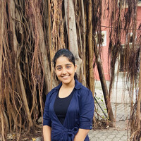 Krishna Vyas