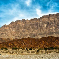Amna Al Dairi