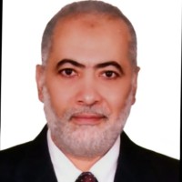 Nasser Elsayed
