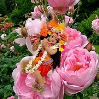 Dhamotharan Pandian