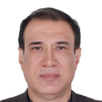 Hamed Elmi
