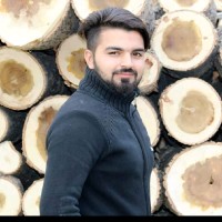 Musavvir Ali