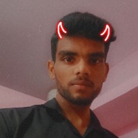 Bharath Naidu S